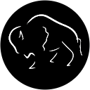 White Buffalo profile picture